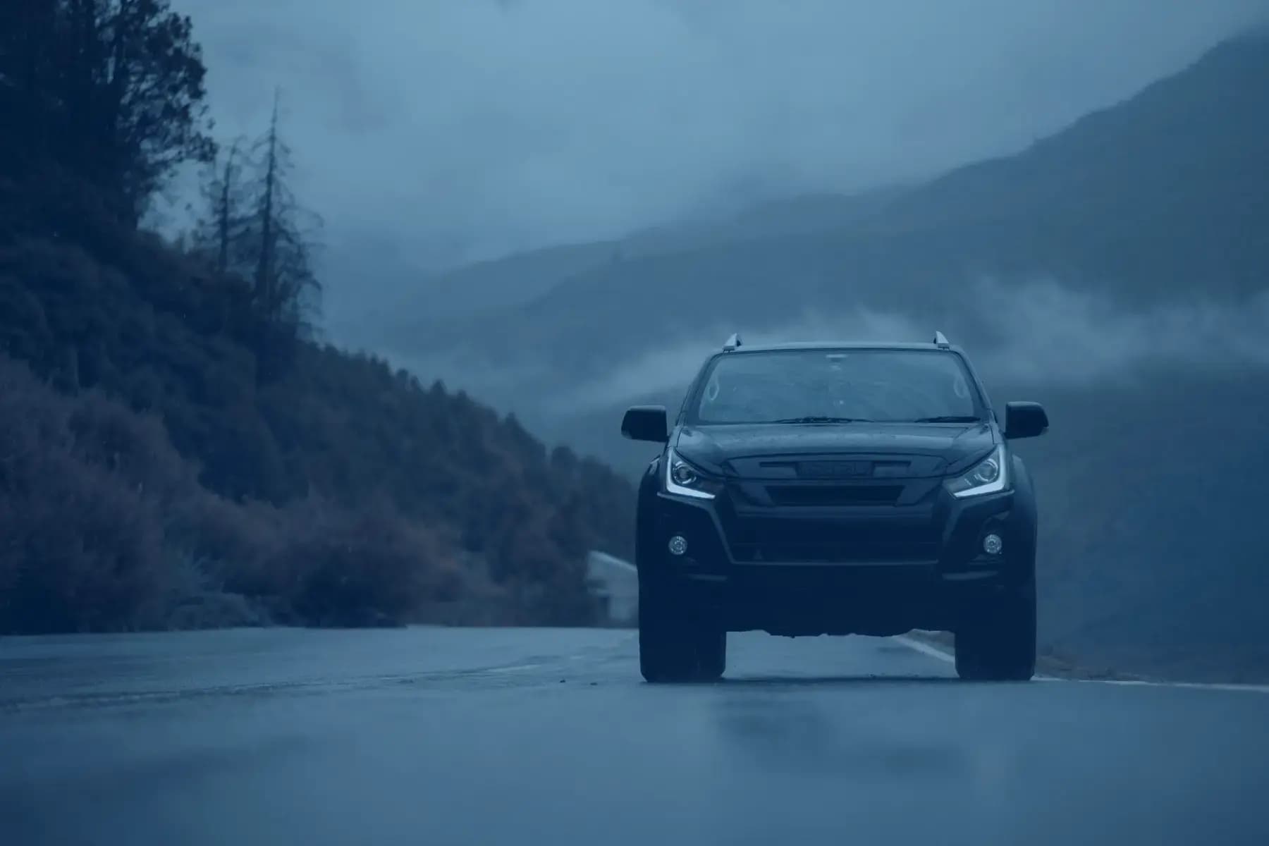 SUV & Crossover