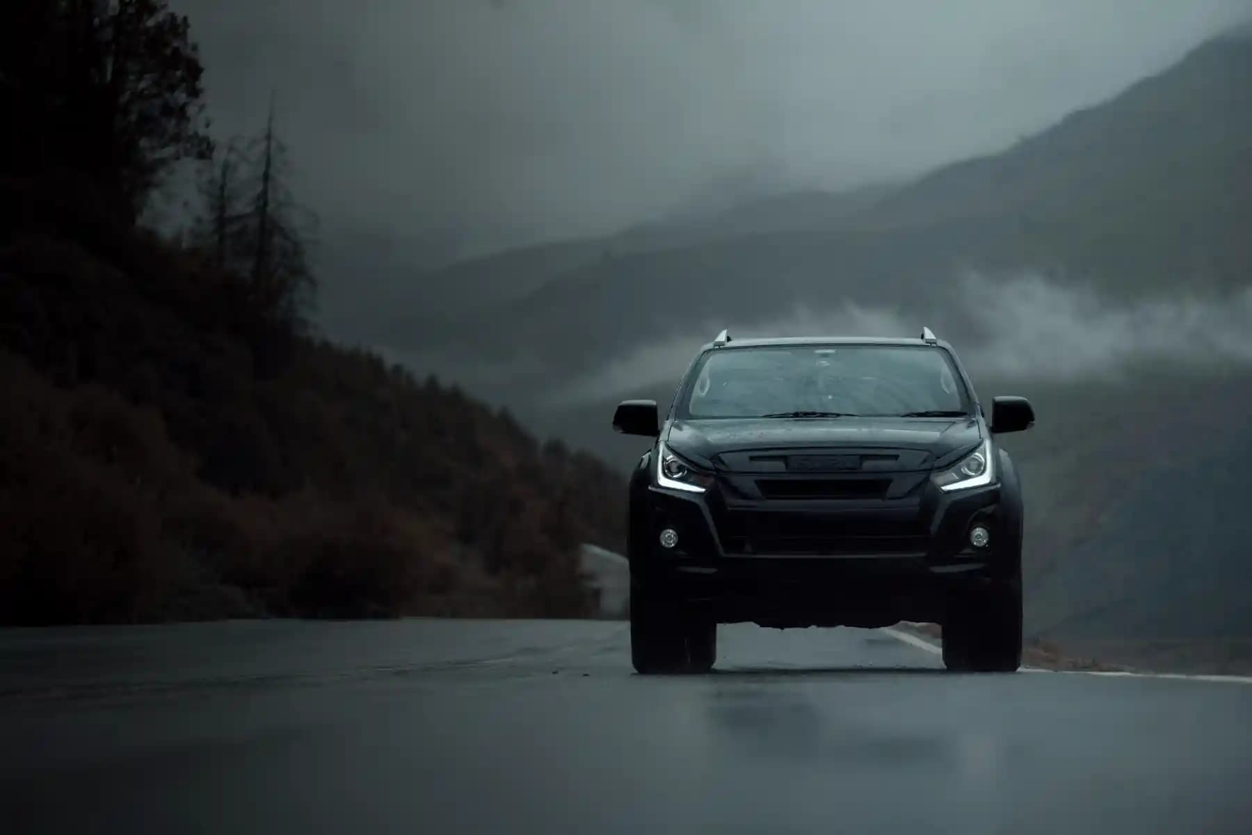 SUV & Crossover
