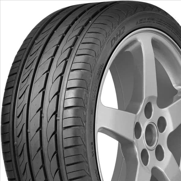 Delinte DH2 A/S 215/70R15 tire