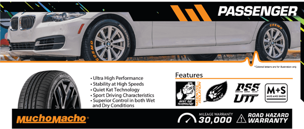 225/40ZR18 COSMO MUCHOMACHO 92Y 300-A-A tire