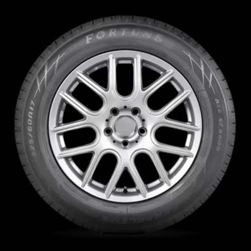 Fortune Perfectus FSR602 tire — side view