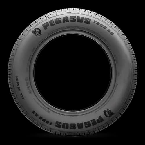 Pegasus Tour AS tire — side view
