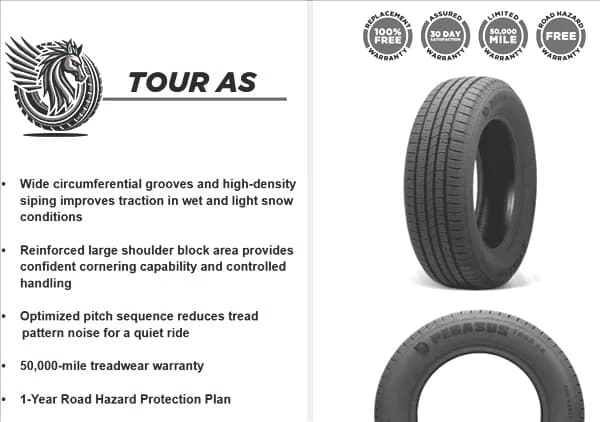 Pegasus TOUR A/S 225/60R16 tire