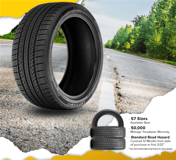 P205/55R16 LIONHART RAMANI A/S 91V BLK 500A-A 50K + ROAD HAZARD